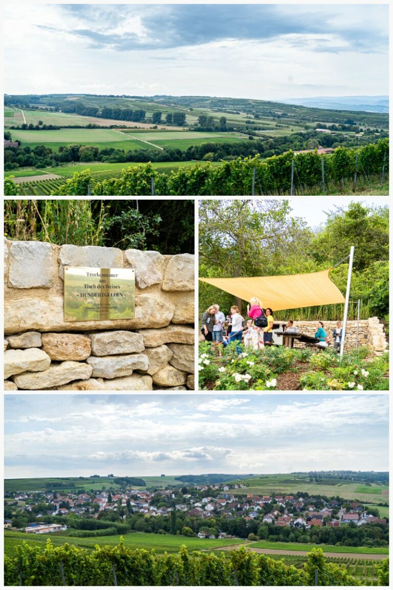 Rheinhessen Genießen 2021 - Auf Genusstour durch Rheinhessen - Colors ...